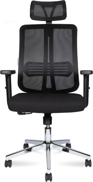 Кресло офисное NORDEN TEMA СHROME 2D