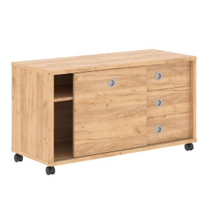 Тумба мобильная с дверью купе B 202.1A 1200х500х660 BORN