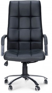 Кресло руководителя РИМИНИ